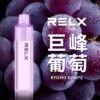 REXL GA8000口 一次性主機
