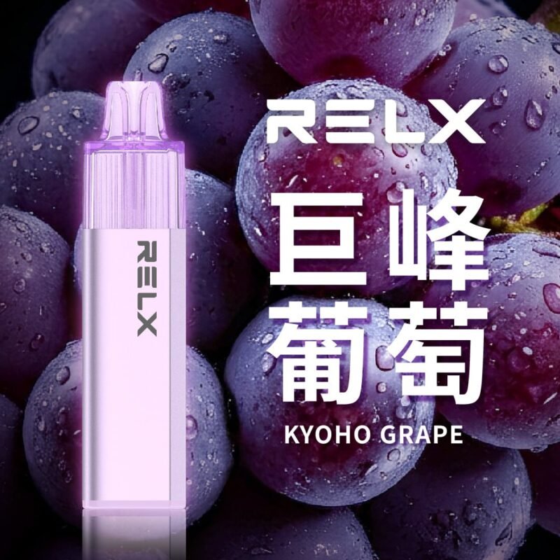 REXL GA8000口 一次性主機
